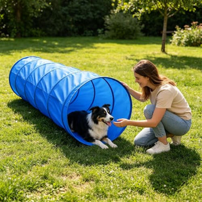 Agility Trainer with Tunnel | Agility Training Equipment for Dogs | Dog Park Equipment | for Outdoor Garden Park Beach Playground Field Competition Recreation - color: A
