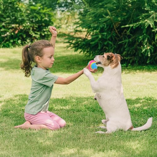 SPOT Sensory Ball for Soft Chewers - Stimulates All 5 Senses, Bell & Squeaker Sounds, Raised Nubs Clean Teeth, High Contrast Fetch Toy, Beef Scented, Durable TPR Rubber Ball, 2.5-inch - size: 2.5 inch (Pack of 1)