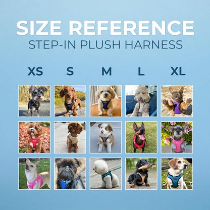 Best Pet Supplies Voyager Step-in Plush Dog Harness - Soft, Step in Vest Harness and Reflective Dog 5 ft Leash Combo with Neoprene Handle for Small and Medium Dogs, Red Plush, S - color: Harness Leash Set (Red Plush), size: S (Chest: 14.5 - 16")