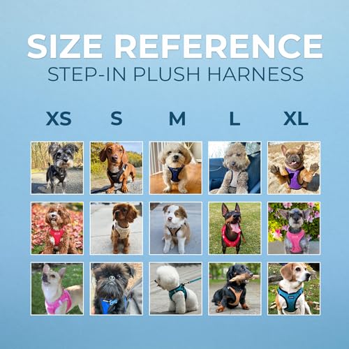 Best Pet Supplies Voyager Step-in Plush Dog Harness - Soft, Step in Vest Harness and Reflective Dog 5 ft Leash Combo with Neoprene Handle for Small and Medium Dogs, Red Plush, XL - color: Harness Leash Set (Red Plush), size: XL (Chest: 20.5 - 23")