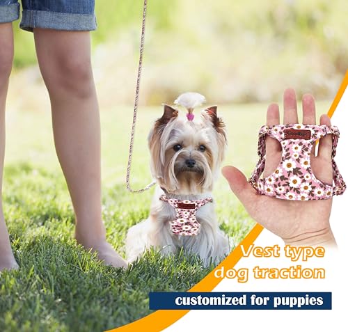 OaaXbbECco No Pull Floral Pattern Dog Harness,Soft Adjustable Dog Harness Vest and Dog Leash Set No Choke Escape Proof (Pink Daisy, XS) - color: Pink Daisy, size: XS