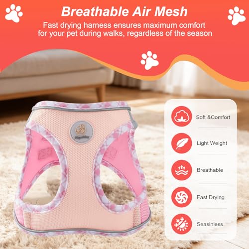 Hipubby Dog Harness Small Sized and Leash Set, No Pull Soft Mesh Puppy Vest, Reflective Breathable Lightweight Pet Harness, Harness for Small Medium Dogs and Cats - Light Pink S - color: Light Pink, size: S (Chest: 14.5"-16")