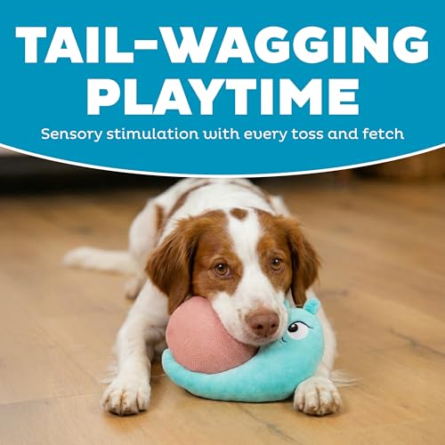 Outward Hound Coated Critterz Dog Toy – Plush & Molded Texture, Squeaky Fetch, Small & Medium Dogs, Snail, 8.7" - color: Coated Critterz Snail