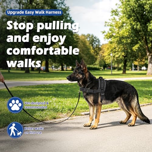 No Pull Dog Harness, Upgraded Padded No-Choke Pet Vest with Front and Back Clips, Effortless Walking Adjustable Dog Gear with Traffic Handle and Reflective Straps for Training (Black,XL) - size: XL