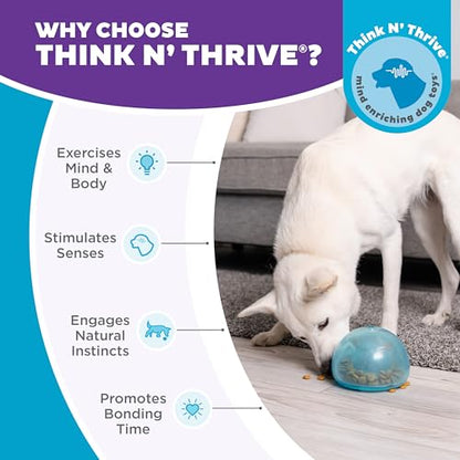 Outward Hound by Planet Dog Snoop Dog Toy – Treat‑Dispenser Puzzle Ball, Interactive Slow Feeder, Medium to Large Dogs, Bouncy & Mint-Infused, Blue, 5" - color: Blue