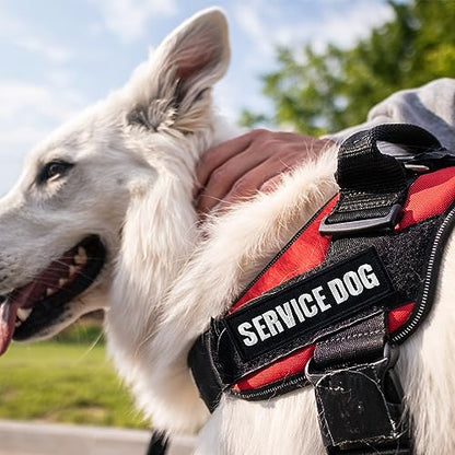 2 Pieces Ask to Pet Dog Patches with Hook Backing for Service Animal Vests, Harnesses - color: 2pcs, Ask to Pet