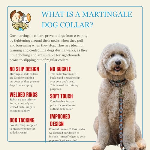 Country Brook Petz - HossFit Jr Wide Martingale Dog Collar - Country and Western Collection Featuring Rustic Designs (Serape, Extra Large) - color: Serape, size: Extra Large (Pack of 1)