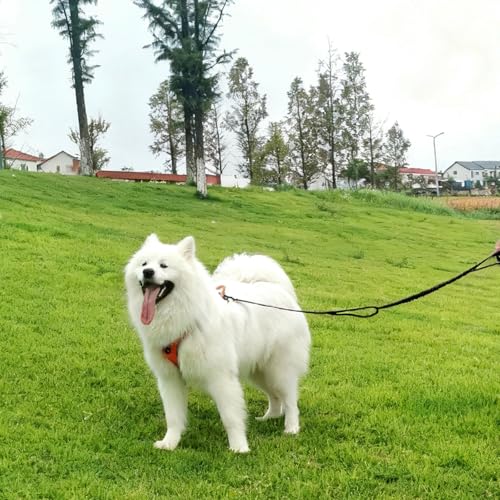 5FT Bungee Dog Leash with 2 Handles, Reflective Nylon Traffic Leash | Shock Absorbing Lead Strong for Large Medium Dogs Anti-Pull Training Walking Controlling Comfortable Padded Handle, Black - color: Black