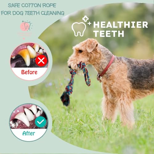 Dog Rope Toy, 3-Pack, Large | Heavy Duty, Tough Chew Toys, Durable Interactive Tug of War, Teeth Cleaning, For Large and Medium Aggressive Chewers - size: Large
