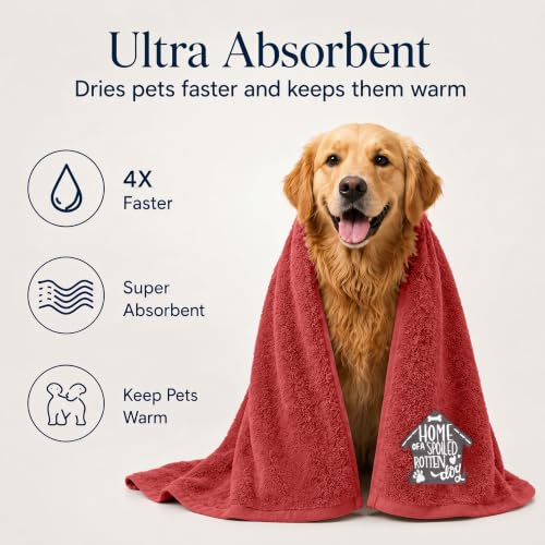 DAN RIVER Dog Towel - Pack of 1, 100% Cotton, 20x40, Ultra Soft 450 GSM, Super Absorbent & Quick Drying Towel for Dogs, Cats, and Other Pets, Salsa. - color: Salsa