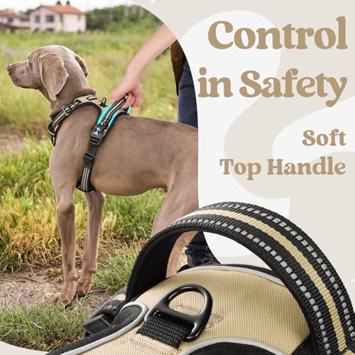 rabbitgoo Dog Harness Small Sized, No Pull Easy On & Off with 3 Buckles Pet Harness, Adjustable Soft Walking Vest with 2 Clips and Handle, Reflective for Small Dogs, Beige, S - color: Beige, size: Small