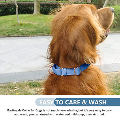 Soft Leather Martingale Dog Collar - Adjustable Rose Gold Limited Slip Collars [Easy to Clean], Stylish Durable Heavy Duty Nylon No Pull Training Collar for Small Medium Large Dogs S Blue Purple - color: Blue Purple, size: S (Neck 10"-15", Width 4/5")