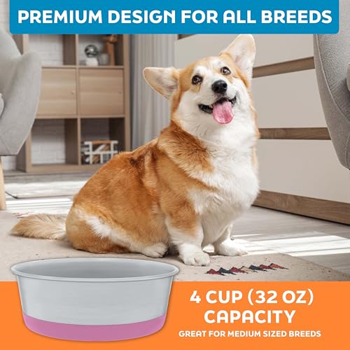 Master Pet Supply Stainless Steel Dog Bowls Set of 2 with Extra Thick Silicone Base - 4 Cup (32 oz) Hyper Pink, Non-Slip, Dishwasher Safe Metal Bowls, Pet Dog Food Bowl for Dogs, Cats, Anti Rust - color: Hyper Pink, size: 4 Cups (32 oz) 2 Pack
