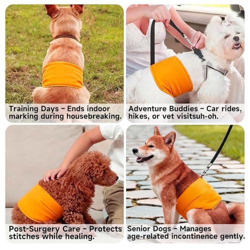 4 Pack Washable Male Dog Diapers Reusable Belly Bands - Quick-Absorbing, Leakproof, Outdoor Training & Senior Dogs | Fits Small, Medium, Large Breeds(XL) - size: XL(24.41-33.46”)