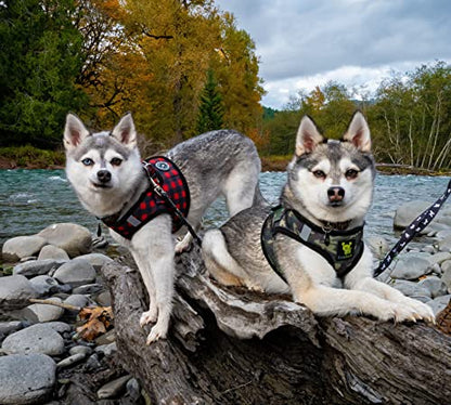EcoBark Step in Dog Harness - Eco-Friendly Teacup Dog Harnesses for XXS, XS, and Small Dogs - Reflective and Adjustable Mini Body Halter Vest -Tiny Soft Mesh Toy Breed Harness (XXXS, Plaid) - color: Buffalo Check Plaid, size: XXXS- 2 to 3 lbs- Chest up to
