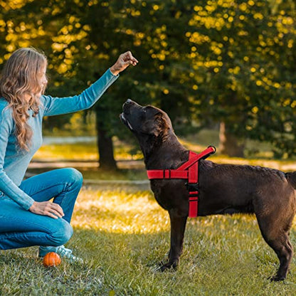 Red No Pull Dog Harness for Small Medium Large Sized Dog, Reflective Escape Proof Adjustable Dog Harnesses with 2 Patch, M - color: Red, size: M-Chest size 22-27.5''