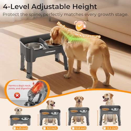 URPOWER Mess Proof Elevated Dog Bowls, High Wall Splash Guard Design, 4 Height Adjustable Raised Bowl Stand, 2 Stainless Steel Bowls, Non-Slip Food Water Set for Small Medium Large Dogs - color: Grey, size: Medium