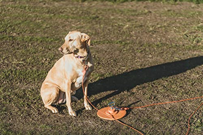 IntelliLeash Intelli-Stayk: Tailored for Soft Soils – Specialized Tie Out Stake for Dogs