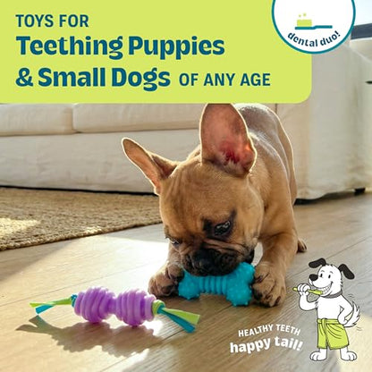 Chew Dog Toys for Teething Puppies & Small Dogs up to 15 lbs, Multi-Texture Dental Support, Bounces & Floats, Moderate Chewers, 2-Pack, 5" - size: Mini (Pack of 2)