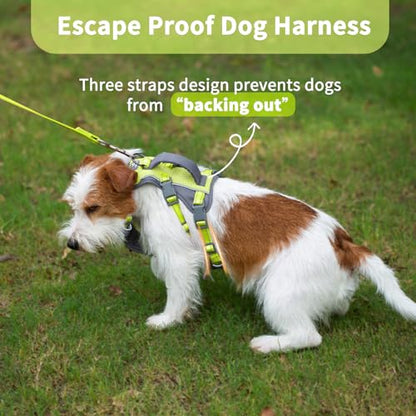 Huntboo Reflective Dog Harness with Handle, Escape Proof, No Slip, Breathable, Lightweight, Adjustable Lift Harness for Small,Medium,and Large Dogs Walking, Training, and Running Gear(Bright Green,XS) - color: Bright Green, size: X-Small(Pack of 1)