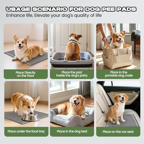 Charcoal Small Puppy Pads Pee Pads for Dogs 22"x22" 100 Count | Disposable Activated Carbon Super Absorbent Full Edge-Wrapping Pee Pads Odor-Control Training Pads for Doggie Cats Rabbits - size: 100 Count (22"x22")