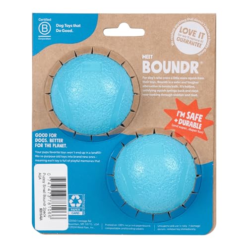WEST PAW Zogoflex Boundr Ball Puppy Toy – Bouncing Toys for High-Energy Puppy Play - Aggressive Chewers, Catch, Fetch – Floatable, Recyclable, Dishwasher-Safe, Non-Toxic – Small - Aqua Blue - 2-Pack