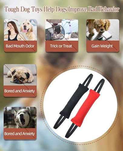 Clysoru Dog Tug Toy Double Pack Tough Jute Bite Pillow Training Equipment Puppy to Large Dogs Interactive - color: black crimson