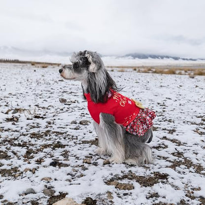 CuteBone Christmas Dog Sweater Dress Turtleneck Puppy Sweater with Bowtie Leash Hole Pullover Winter Dress for Small Dogs - color: Merry Christmas 1, size: X-Small