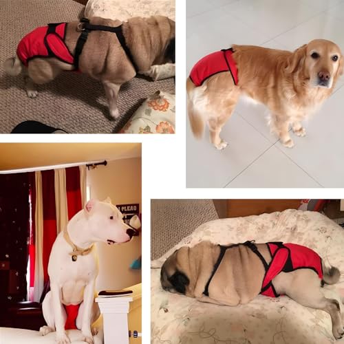 NACOCO 2 Pack Female Dog Diapers for Small Medium and Large Dogs, Adjustable and Leakproof Doggie Sanitary Panties, The Harassment of Pants and Safety Pants, Black&Red (M) - size: M