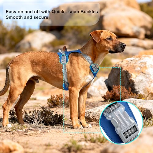 No Pull Dog Harness – Adjustable Reflective Nylon Vest for Small Medium Large Dogs, Escape Proof Training Harness with Leather Control Handle, Lightweight Aluminum Hardware (Royal Blue, M) - color: Royal Blue, size: M