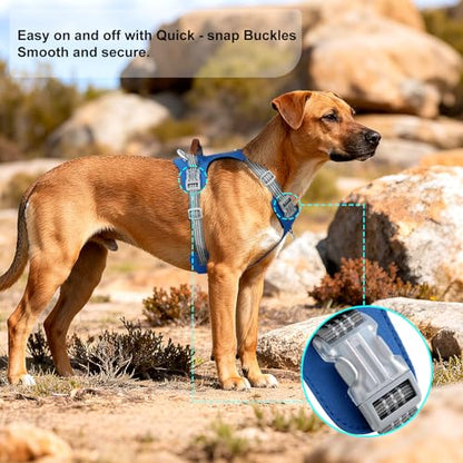 No Pull Dog Harness – Adjustable Reflective Nylon Vest for Small Medium Large Dogs, Escape Proof Training Harness with Leather Control Handle, Lightweight Aluminum Hardware (Royal Blue, XL) - color: Royal Blue, size: XL