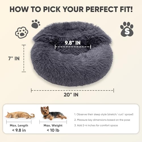 Himax Dog Beds for Small Dogs, Donut Dogs Beds with Blanket Attached, Calming Dog Bed Washable (20"/26"/35") Grey - color: Grey, size: 20.0"L x 20.0"W x 7.0"Th