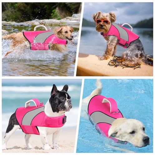 Doglay Dog Life Vest, Dog Life Jacket with Double Rescue Handles and Reflective Stripes, Adjustable High Visibility Swimming Safety Vest, Pet Life Preserver Lifesaver for Small Medium Large Dogs - color: Pink+Gray, size: L :19.7"-29.5" (Ribcage Girth)- Do