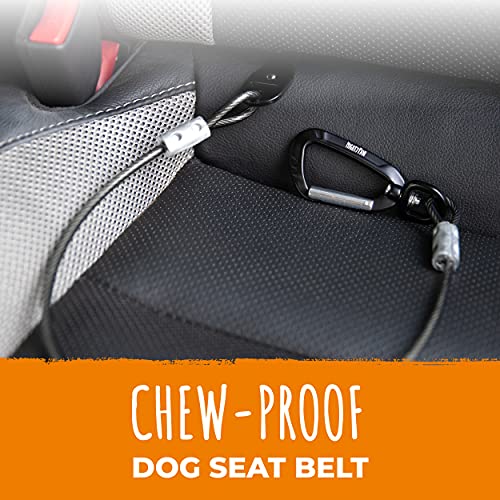 Mighty Paw Dog Seat Belt Vehicle - Chew-Proof Dog Belt - Great for Teething Puppies - Latch Bar Attachment Like Child's Car Seat - Aviation Aluminum Carabiner - Strong Enough for Climbers - 850+ LB - style: Chewproof - 32"