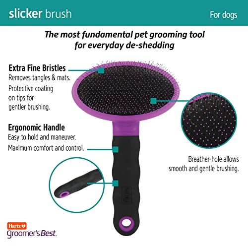 Hartz Groomer's Best Deshedding Slicker Dog Brush, Black/Violet, Dogs (Pack of 4) - size: 1 Count (Pack of 4), style: Large Slicker Brush