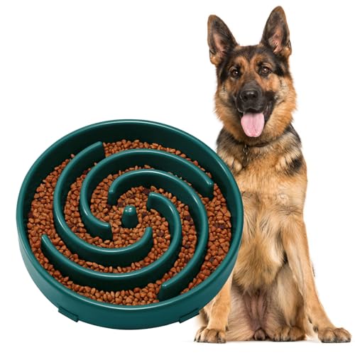 JASGOOD Slow Feeder Dogs Bowl for Large Medium Dogs,Anti-Gulping Pet Slower Food Feeding Bowls Stop Bloat,Preventing Choking - color: N-Dark Green