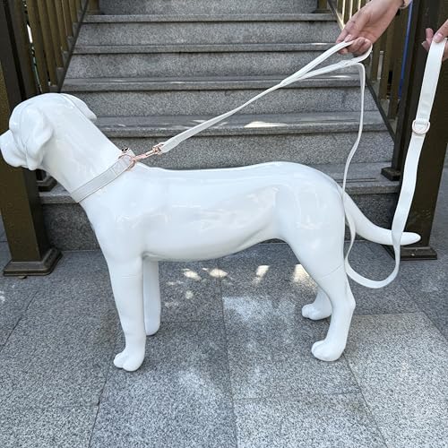 Dog Leash 6ft Long,Traffic Padded Two Handle,Heavy Duty,Double Handles Lead for Control Safety Training,Leashes for Large Dogs or Medium Dogs,Dual Handles Leads (Off-White, 25MM*6FT) - color: Off-White