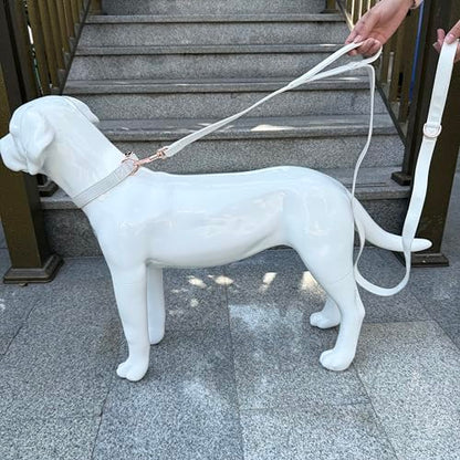 Dog Leash 6ft Long,Traffic Padded Two Handle,Heavy Duty,Double Handles Lead for Control Safety Training,Leashes for Large Dogs or Medium Dogs,Dual Handles Leads (Off-White, 25MM*6FT) - color: Off-White
