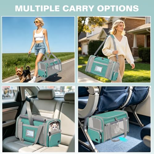 Soft Cat Carrier for Pets Up to 20 Lbs, Collapsible Cat Carrier Bag with Privacy Curtains, Airline Approved Small Pet Carrier for Small Medium Cats Dogs Puppy, Washable Soft Pet Travel Bag Dog Carrier - color: Lake Green