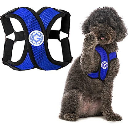 Gooby - Comfort X Step-in Harness, Choke Free Small Dog Harness with Micro Suede Trimming and Patented X Frame, Blue, Small - color: Blue, size: Small