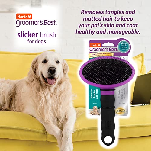 Hartz Groomer's Best Deshedding Slicker Dog Brush, Black/Violet, Dogs (Pack of 2) - size: 1 Count (Pack of 2), style: Large Slicker Brush