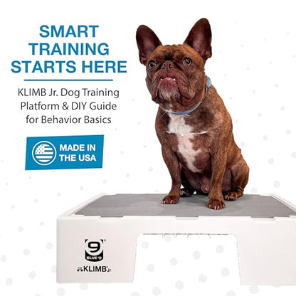 Blue-9 KLIMB Jr. Professionally Designed Dog Training Platform and DIY Guide for Behavior Basics, Made in The USA, White - color: White