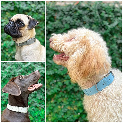 Tuff Pupper Classic Heavy Duty Dog Collar | 10x Stronger Than Leather | 100% Waterproof & Odor Proof Dog Collar | Tough Rust-Proof All Metal Hardware - color: Sky Blue