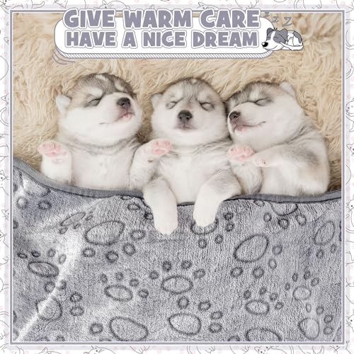 Tegeme 12 Pcs Pet Blankets 23 x 16 Inch Soft Fluffy Fleece Dog Cat Warm Paw Print Pattern Blankets Flannel Throw for Pets Dog Puppy Cat(Gray) - color: Gray, size: 23 x 16 Inch