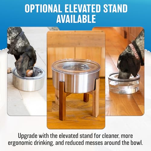 Slopper Stopper Stainless Steel Dripless Water Bowl with Tritan Plastic Lid – Holds 1 Gal, Reduces Spills & Trails Up to 85%+, Water Bowl for Small Breed Dogs (0-20 lbs), The Original Slobber Stopper - size: 0-20 Lbs Small, style: Stainless Steel