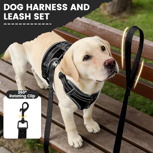 No-Pull Dog Harness with Dog Leash Breathable Mesh Adjustable Soft Padded Pet Vest Reflective for Small/Medium/Large Dogs Walking, Training - color: Black, size: L