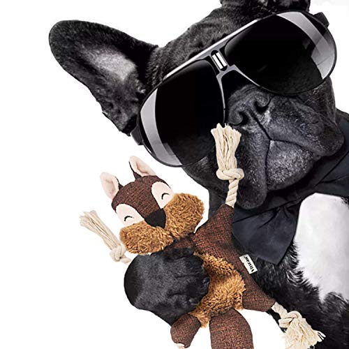 Vitscan Crinkle Dog Toy, No Stuffing Puppy Toys, Cotton Rope Limbs Stuffless Dog Toy with Squeaker, Plush Body Parts Squirrel Dog Squeaky Toys for Small Dog Chew Toys
