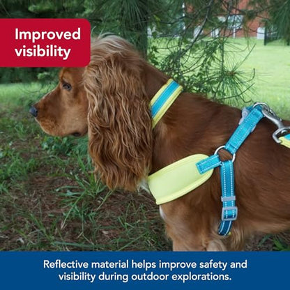 Coastal Pet - Pro - Reflective Adjustable Dog Collar, Bright Green with Grey, 1" x 14-20" - color: Bright Green with Grey, size: 1" x 14-20" (Pack of 1)