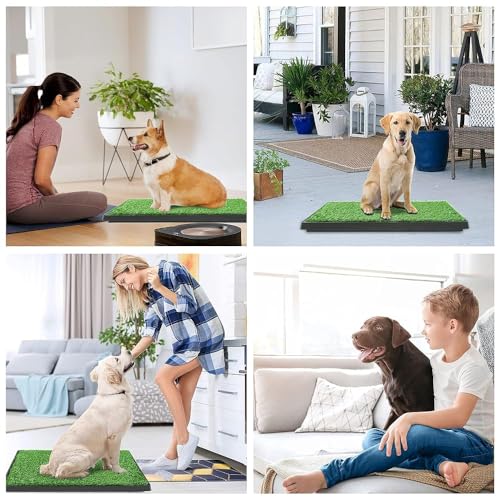 FluffyDream Artificial Grass for Dog Potty – 20x25 inch,Strong Absorbency Grass Pad, Dog Grass Pad with Tray, Dog Potty Training Pad, Dog Litter Box with Grass (20""x30"" X2), Green - size: 20"x30" X2