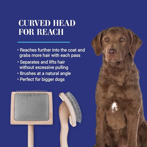 Chris Christensen Mark VII Curved Back Slicker Brush for Dogs, 12mm Pins, Groom Like a Pro, Handcrafted Lightweight Beechwood Ergonomic Handle, Stainless Steel Pins, A5VII, Large. Made in Germany. - size: Mark VII Large Curved Back